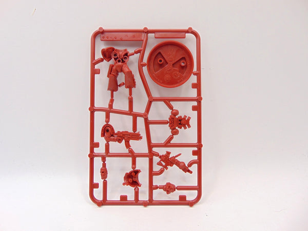 Brother Garus / Vesta