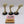 Meiotic Spores