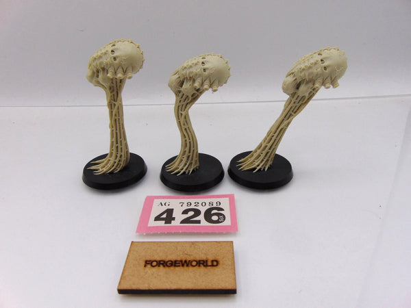 Meiotic Spores
