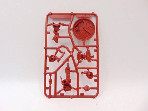 Brother Aethor / Furio / Frostclaw