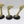 Meiotic Spores
