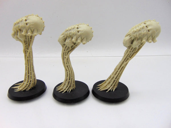 Meiotic Spores