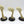 Meiotic Spores