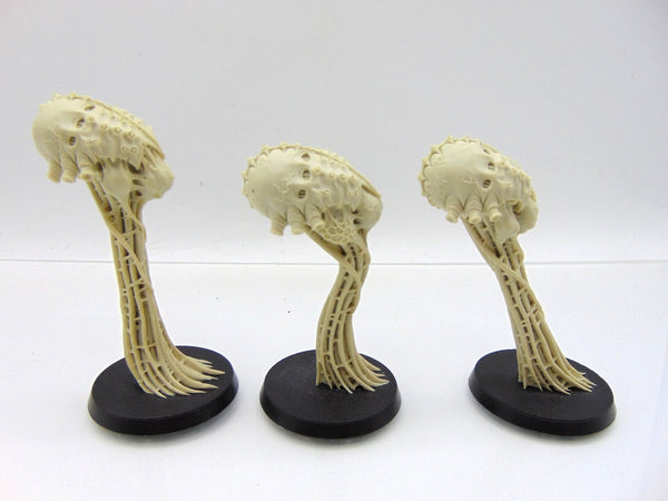 Meiotic Spores
