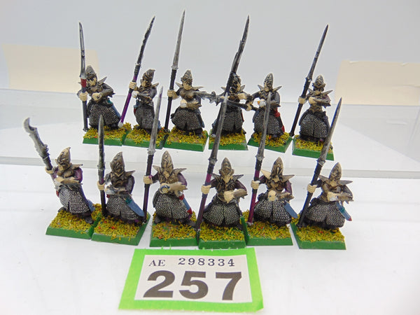 Dark Elf Warriors / Spearmen