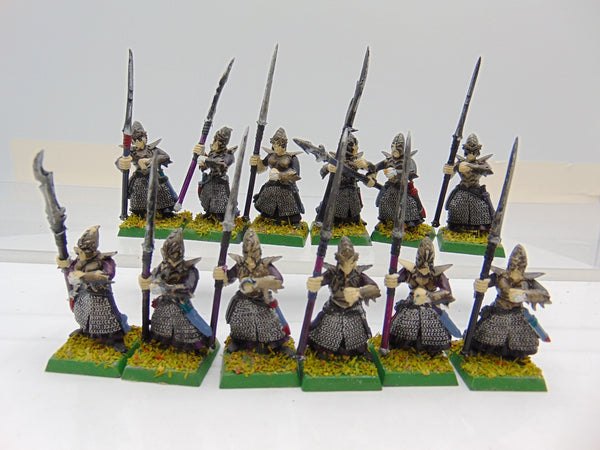 Dark Elf Warriors / Spearmen