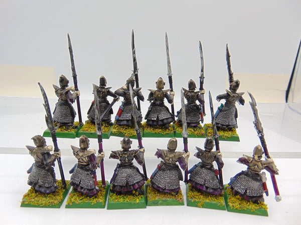 Dark Elf Warriors / Spearmen