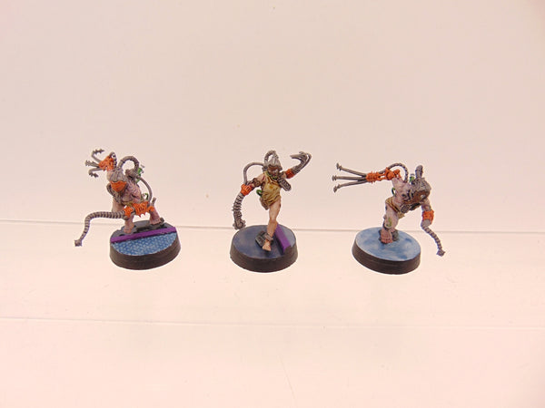Arco Flagellants