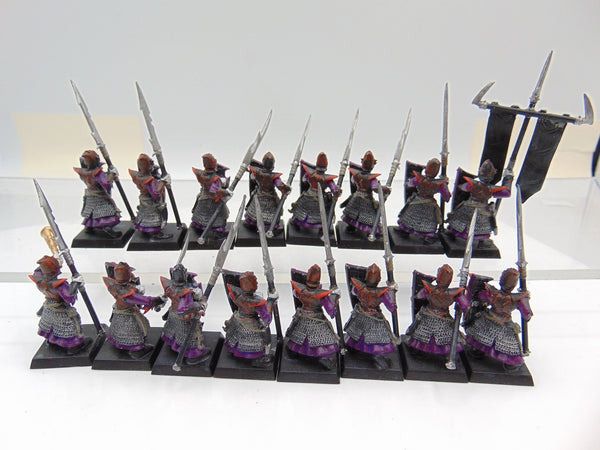 Dark Elf Warriors / Spearmen