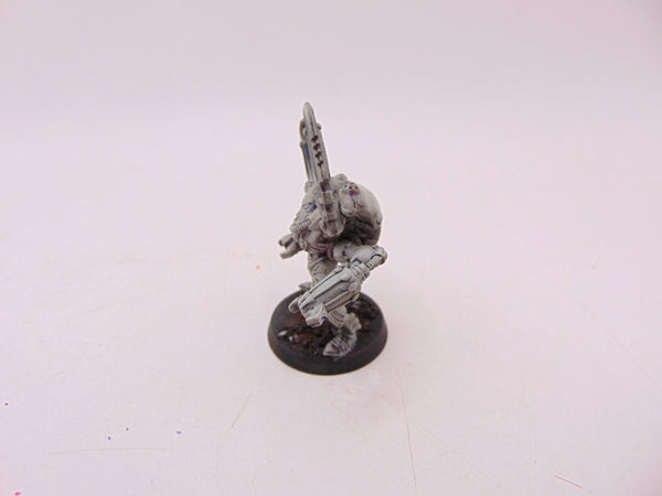 Warp Spiders Exarch