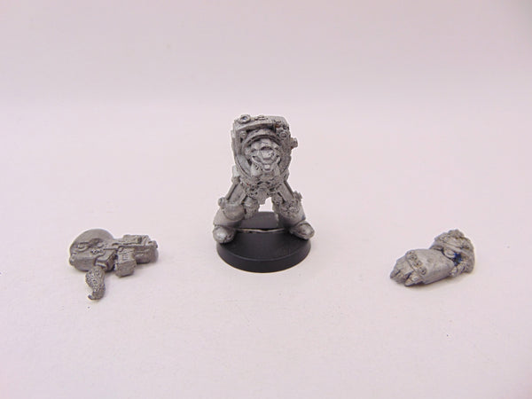 Wolf Guard