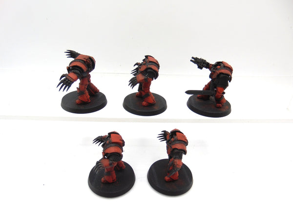 Cataphractii Terminator Squad