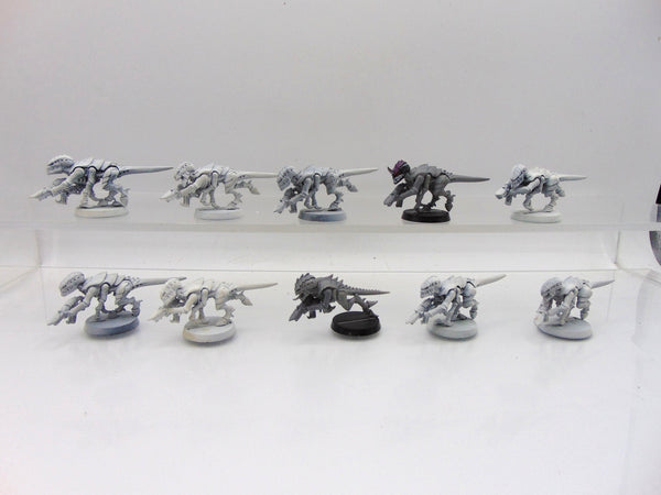 Termagants