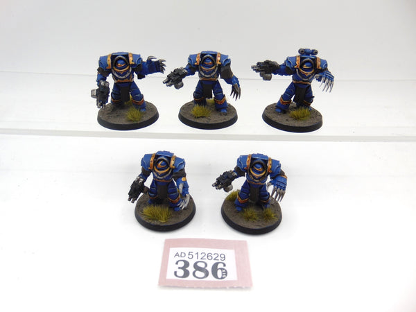 Cataphractii Terminator Squad