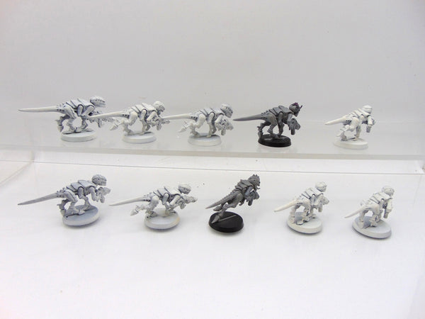 Termagants