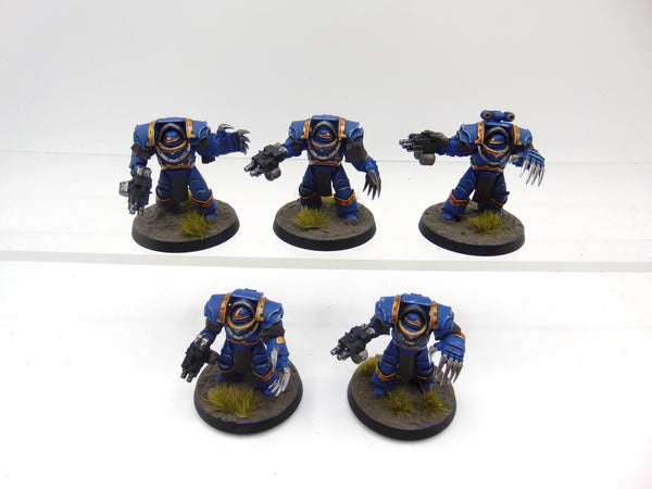 Cataphractii Terminator Squad