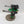 Deredeo Pattern Dreadnought