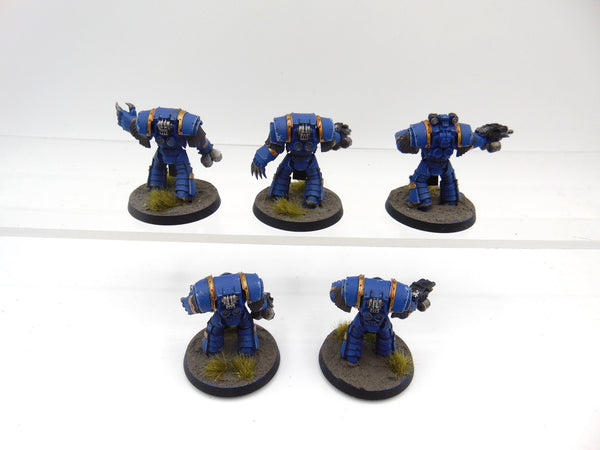 Cataphractii Terminator Squad
