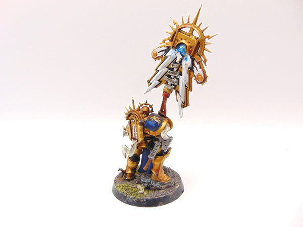 Knight Vexillor