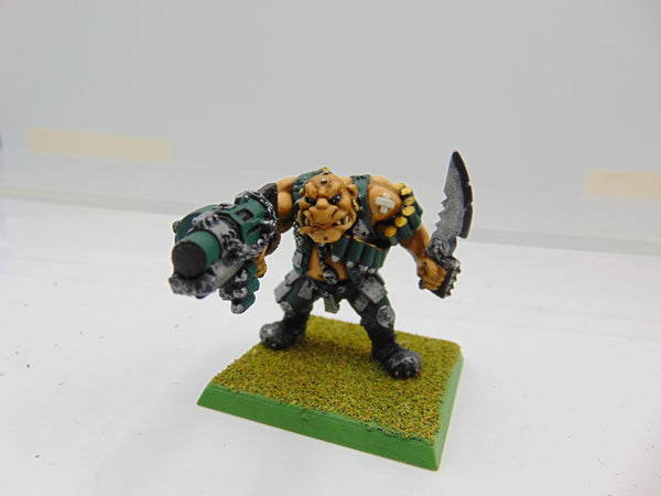 Ogryn