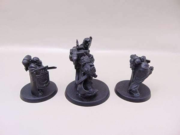 Marneus Calgar with Victrix Honour Guard