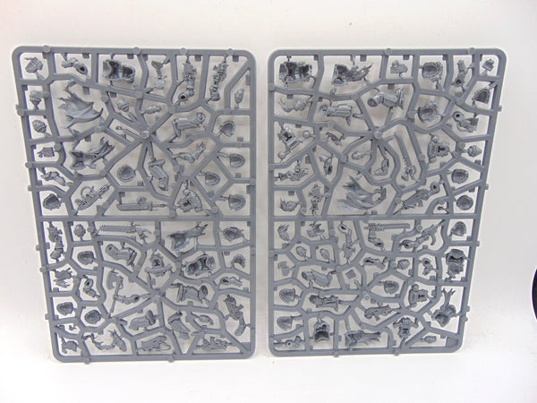 Red Corsairs Raiders