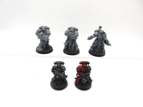 Sternguard Veterans