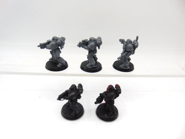Sternguard Veterans