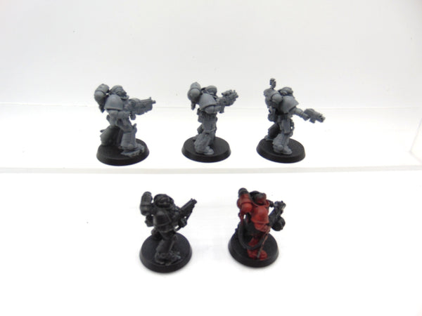 Sternguard Veterans