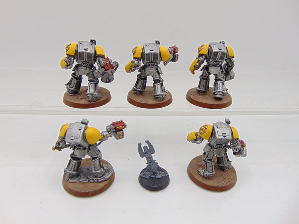 Terminator Squad