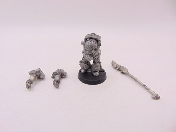 Grey Knight Terminator