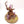 Feculent Gnarlmaw