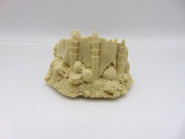 Tyranids Brood Nest
