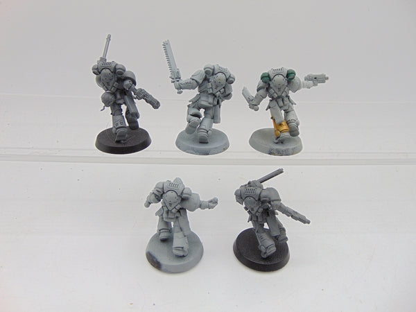 Assault Intercessors