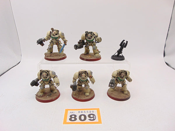 Terminator Squad