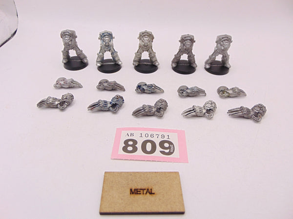 Lightning Claw Terminators