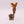 Ltd Ed Army Box Dwarf Army Standard Bearer