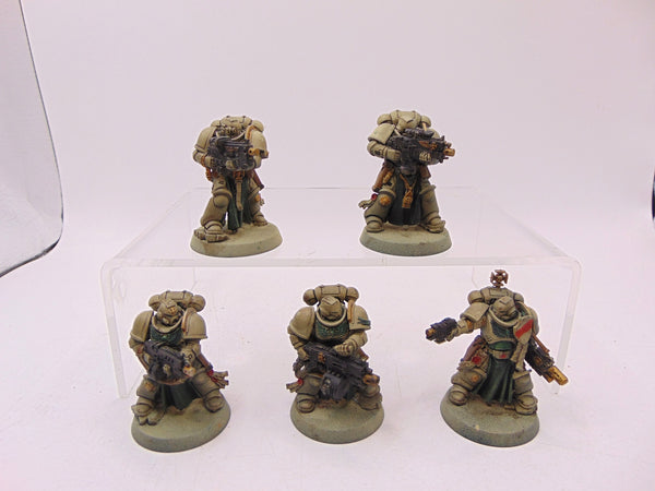 Sternguard Veterans
