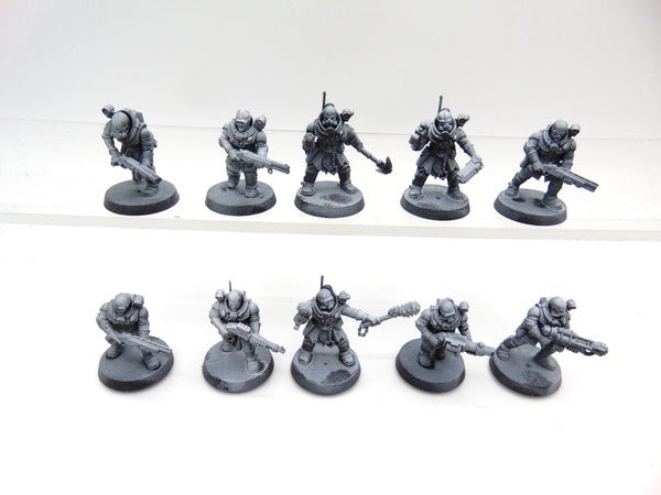 Neophyte Hybrids