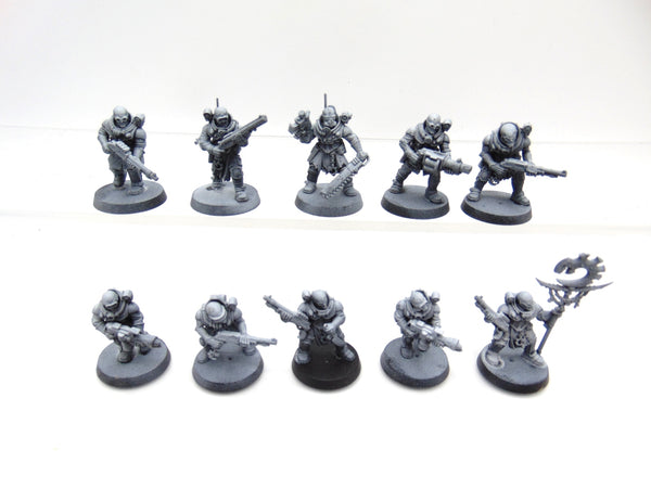 Neophyte Hybrids