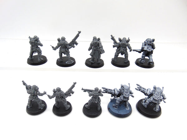 Neophyte Hybrids