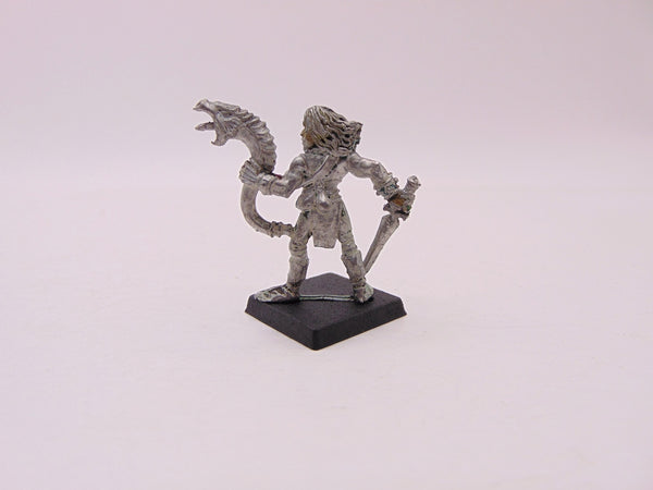 Araflane Warskald Musician RRD4 Skarloc's Wood Elf Archers