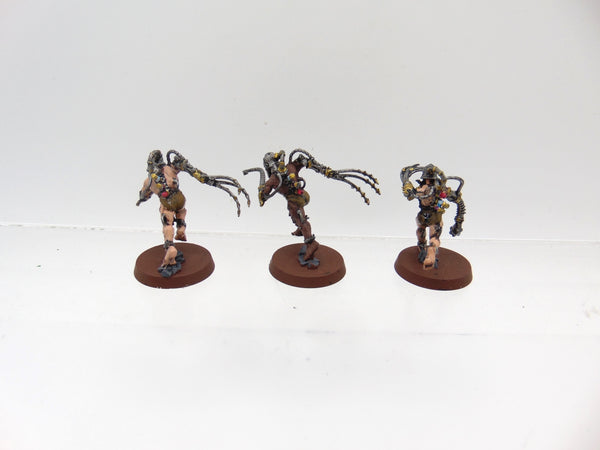 Arco Flagellants