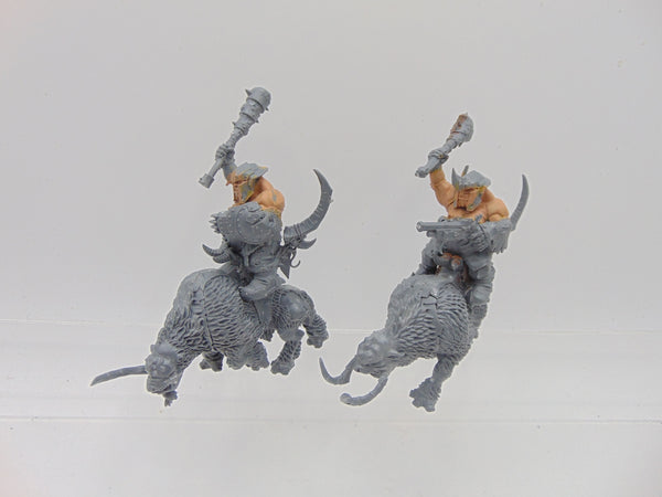 Mournfang Cavalry Pack