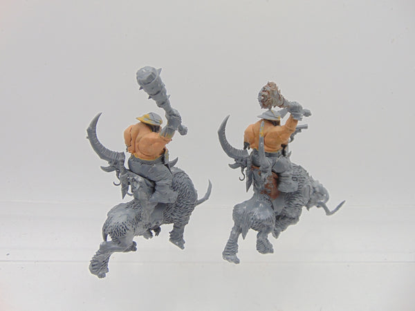 Mournfang Cavalry Pack