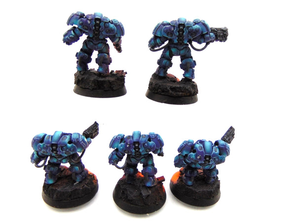 Einhyr Hearthguard