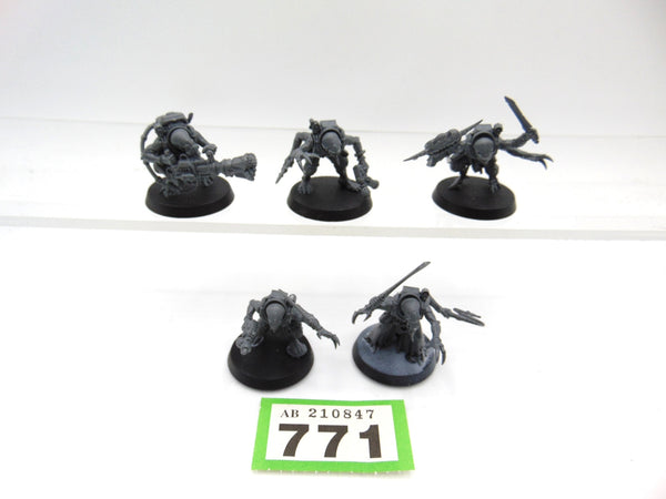 Acolyte Hybrids