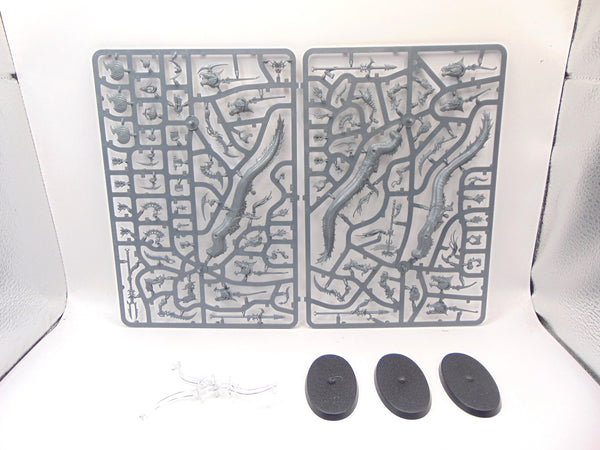 Akhelian Morrsarr Guard / Ishlaen Guard