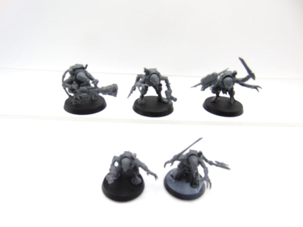 Acolyte Hybrids