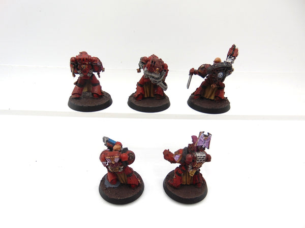 Sternguard Veterans